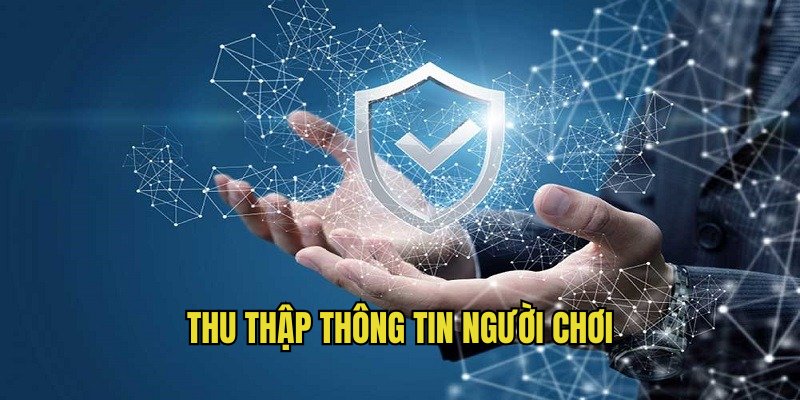 Nội dung điều khoản quyền riêng tư hubet về thu thập thông tin